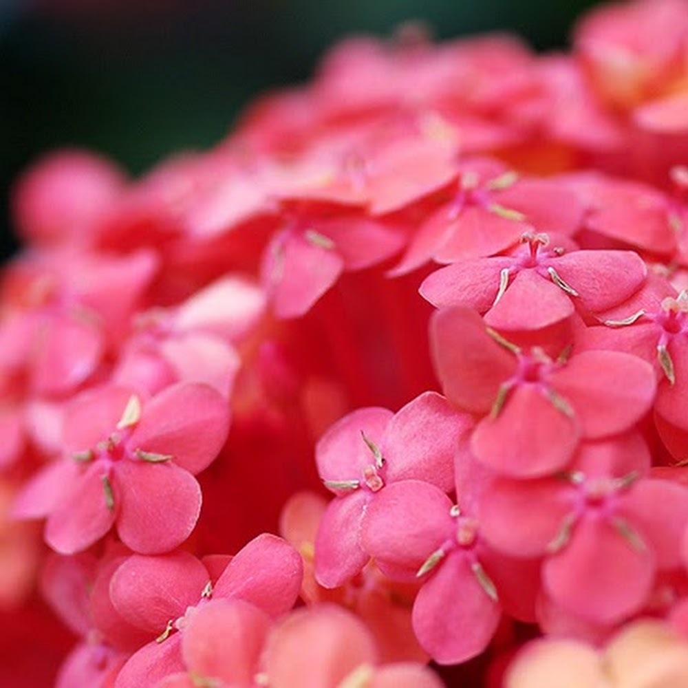 Little intro about Gabriella